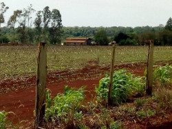 Nenhum imóvel do espólio de Artuzi é arrematado e leilão continua