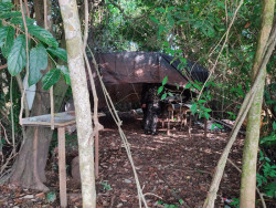 PMA prende foragido morando em barraco na margem do Rio Brilhante