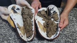 Chinelos usados por preso do semiaberto, recheados de maconha (Foto: Divulgação)