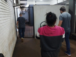 Mulher é flagrada com haxixe pelo DOF