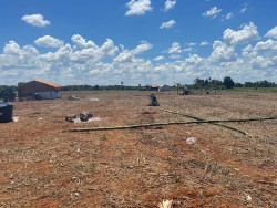 Juiz nega despejo de indígenas que ocupam fazenda em Rio Brilhante