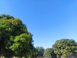 Para Dourados não há previsão de chuva e temperatura varia entre 18 e 28 graus. Imagem (Aliny Fernandes)