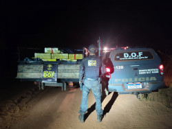 Apreensão realizada pelo DOF (Foto: Assessoria)