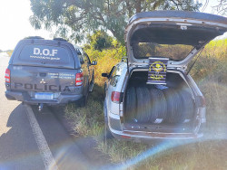 Pneus contrabandeados são apreendidos pelo DOF em Deodápolis