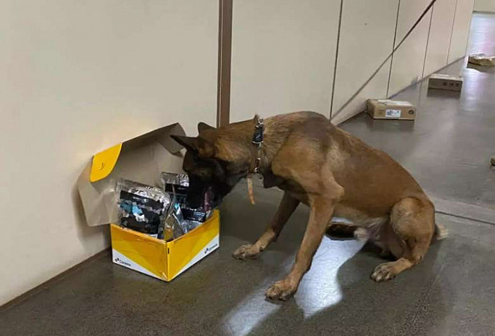 Ação da PRF (Polícia Rodoviária Federal), ocorreu em conjunto com o CCD (Centro de Distribuição dos Correios) entre o GOC (Grupo de Operações com Cães). Imagem (Divulgação PRF)