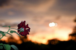 Dourados, mínima de 15ºC e máxima de 30ºC. (Foto: Divulgação)