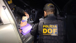 Droga sendo apreendida pelo DOF (Foto: Assessoria)