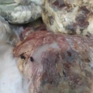 Carne apreendida pela polícia em Inocência (Foto: Campo Grande News)