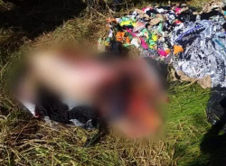 Mulher confessa crime e diz que esquartejou marido como porco