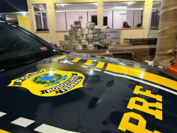 PRF apreende 460 quilos de cocaína em caminhão na BR-267