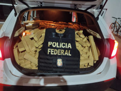 Homem é preso com 800 quilos de maconha em BMW com placa falsa