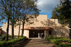 Homem é condenado a mais de 100 anos por latrocínio praticado em Amambai