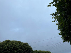 MS tem previsão de queda na temperatura e chuvas durante a semana