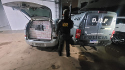 DOF apreende carro carregado com cigarro contrabandeado do Paraguai