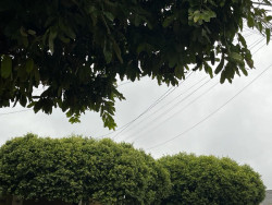 Chuva continua e Dourados tem mínima de 7,1 graus nesta quarta
