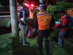 Trabalho da Defesa Civil em Dourados (Foto: Defesa Civil)