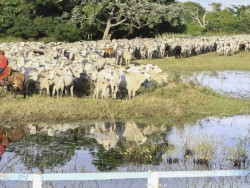 A Iagro  prorrogou até o dia 30 de junho o prazo final para a realização da Atualização Cadastral (Foto:Assessoria)