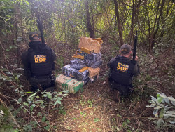 Polícia localiza 300 quilos de maconha em mata na fronteira