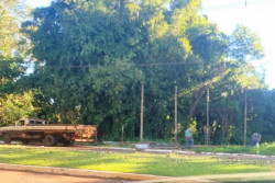 Outdoor é removido de área de preservação na Presidente Vargas