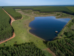 Fábrica de celulose terá investimento de R$ 28,5 bi em 3 cidades de MS