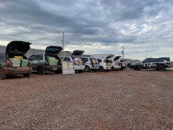 O valor total do prejuízo ao crime com esta apreensão gira em torno de R$ 500 mil (Foto: Assessoria)