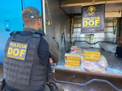 Droga apreendida pelo DOF (FFoto: Assessoria)