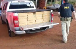 PRF apreende 1.600 quilos de maconha em S10 na BR-163