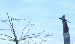 Em Dourados, a temperatura varia entre 14°C e 29°C (Foto:Assessoria)