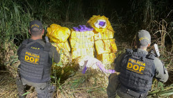 Droga apreendida pelo DOF na MS-379 (Foto: Assessoria)