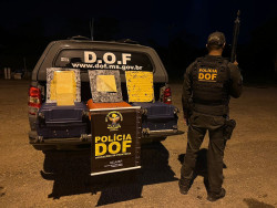 Droga apreendida pelo DOF (Foto: Assessoria)