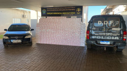 O material apreendido, avaliado em aproximadamente R$ 155 mil (Foto: Assessoria)