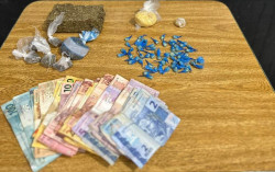 Droga apreendida pela Polícia Civil (Foto: Assessoria)