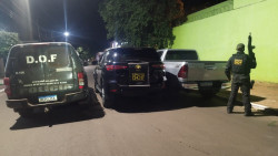 Carros recuperados pelo DOF (Foto: Assessoria/DOF)