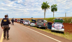 A ocorrência foi registrada e entregue na Receita Federal de Ponta Porã (Foto: Assessoria/DOF)