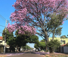 Dourados tem mínima de 7,5 graus e frio continua neste sábado