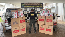 Contrabando de cigarros paraguaios apreendido pelo DOF (Foto: Assessoria)