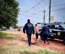 Preso no Paraná, jovem confessa que matou e queimou companheira