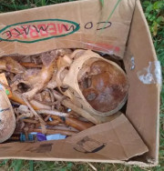 Ossada encontrada em Ponta Porã (Foto: Ponta Porã Mil Grau)