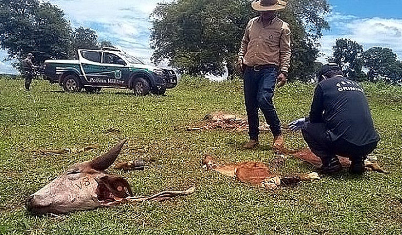 A portaria de nomeação dos novos delegados da Deleagro, assinada pelo Delegado-Geral da Polícia Civil, Adriano Garcia Geraldo. Imagem (Divulgação)