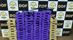 Em diligência foi localizada a residência e no local apreendido diversos tabletes de maconha e uma espingarda (Foto: Assessoria)