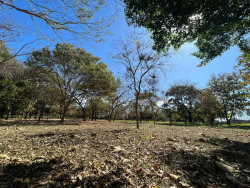 É esperado baixos valores de umidade relativa do ar, entre 15% e 35% (Foto Dourados Informa)