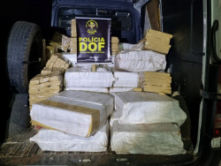 Droga apreendida em Rio Brilhante (Foto:Assessoria/DOF)