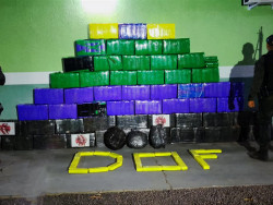 Material apreendido pelo DOF (Foto: Assessoria/DOF)