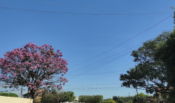 Previsão é de tempo estável e seco nesta terça-feira em MS