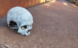 Crânio humano é encontrado sobre a ponte do Córrego Laranja Doce