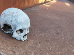 Crânio humano é encontrado sobre a ponte do Córrego Laranja Doce
