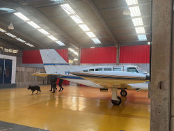 Polícia durante cumprimento de mandados (Foto: Assessoria/PF)
