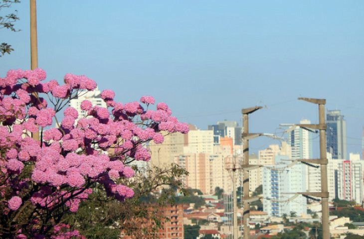 A condição se estende ao fim de semana (Foto: Assessoria)