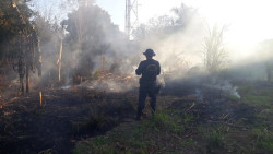 Campanha Agosto sem Cinzas começa amanhã com blitz e entrega de mudas