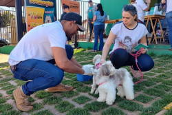 Campanha de Vacinação Antirrábica começa nesta segunda-feira